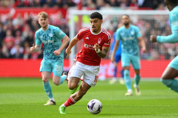 球队在比赛 球队在比赛