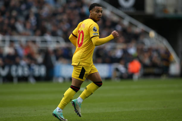 这不仅影响 这不仅影响